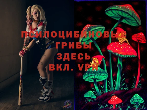 молекула духа Армянск