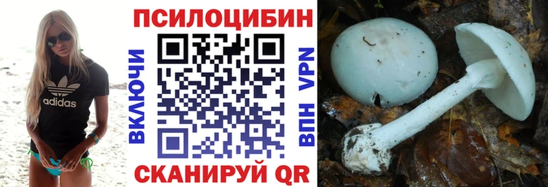 Галлюциногенные грибы Magic Shrooms  Купить  Железногорск-Илимский 